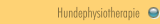 Hundephysiotherapie