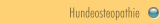 Hundeosteopathie