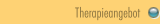 Therapieangebot